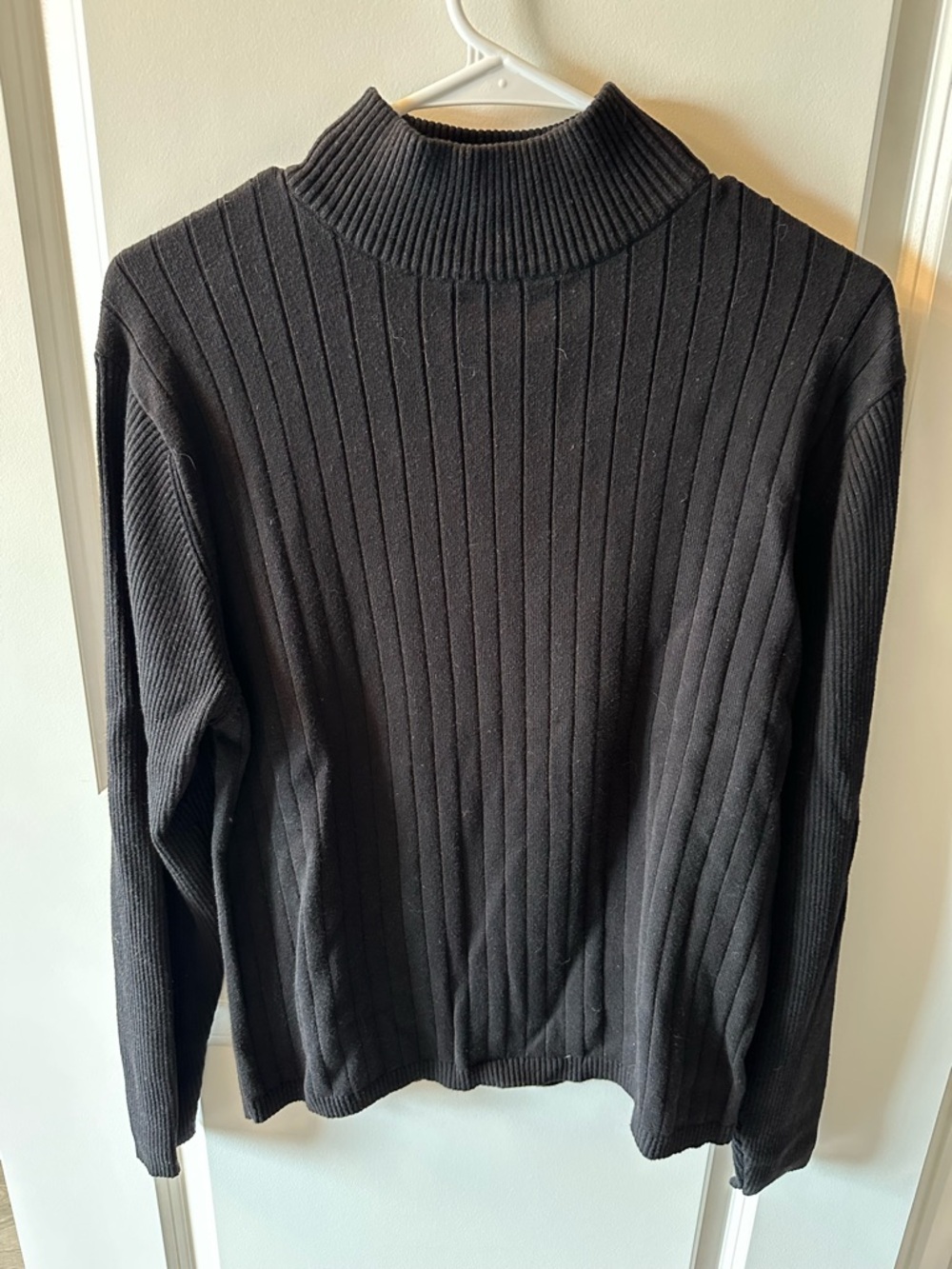 Classic Minimalist Staple - Brandy Melville Black Ribbed Mockneck Sweater